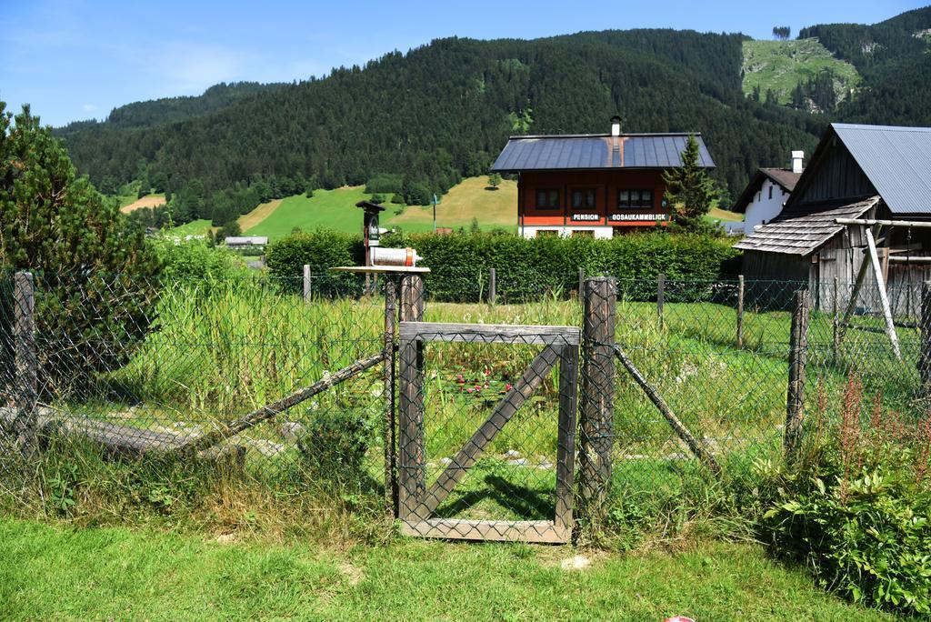 Fruehstueckspension Pachler Gosau Esterno foto
