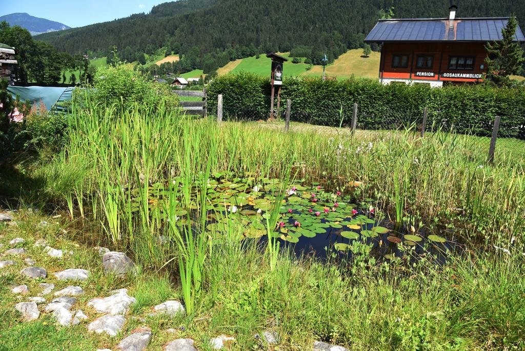 Fruehstueckspension Pachler Gosau Esterno foto
