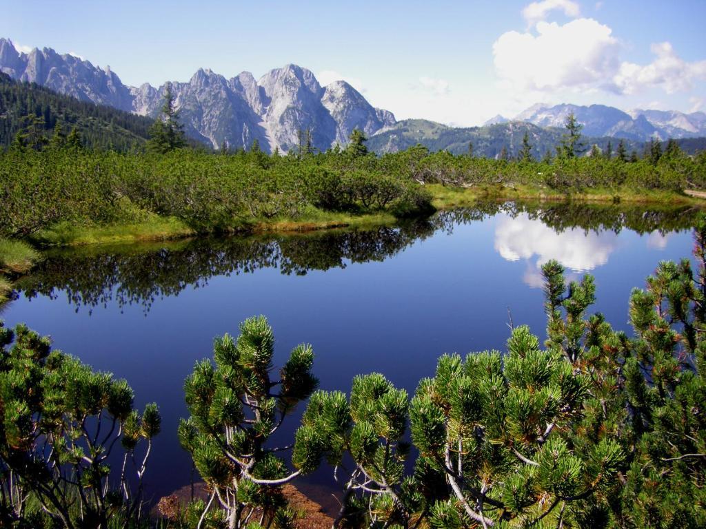 Fruehstueckspension Pachler Gosau Esterno foto